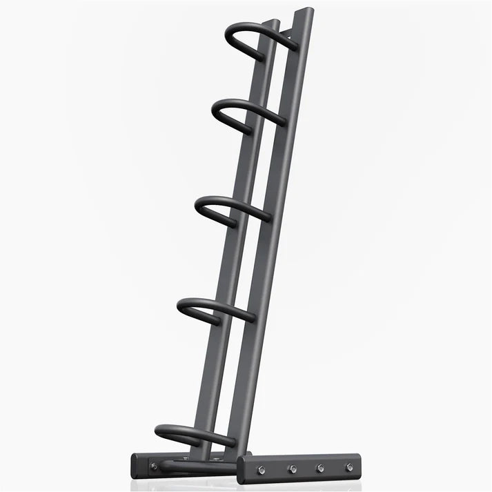 Medicīnas bumbu statīvs 5 bumbām 129 cm