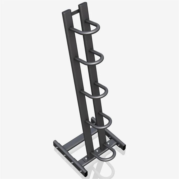 Medicīnas bumbu statīvs 5 bumbām 129 cm
