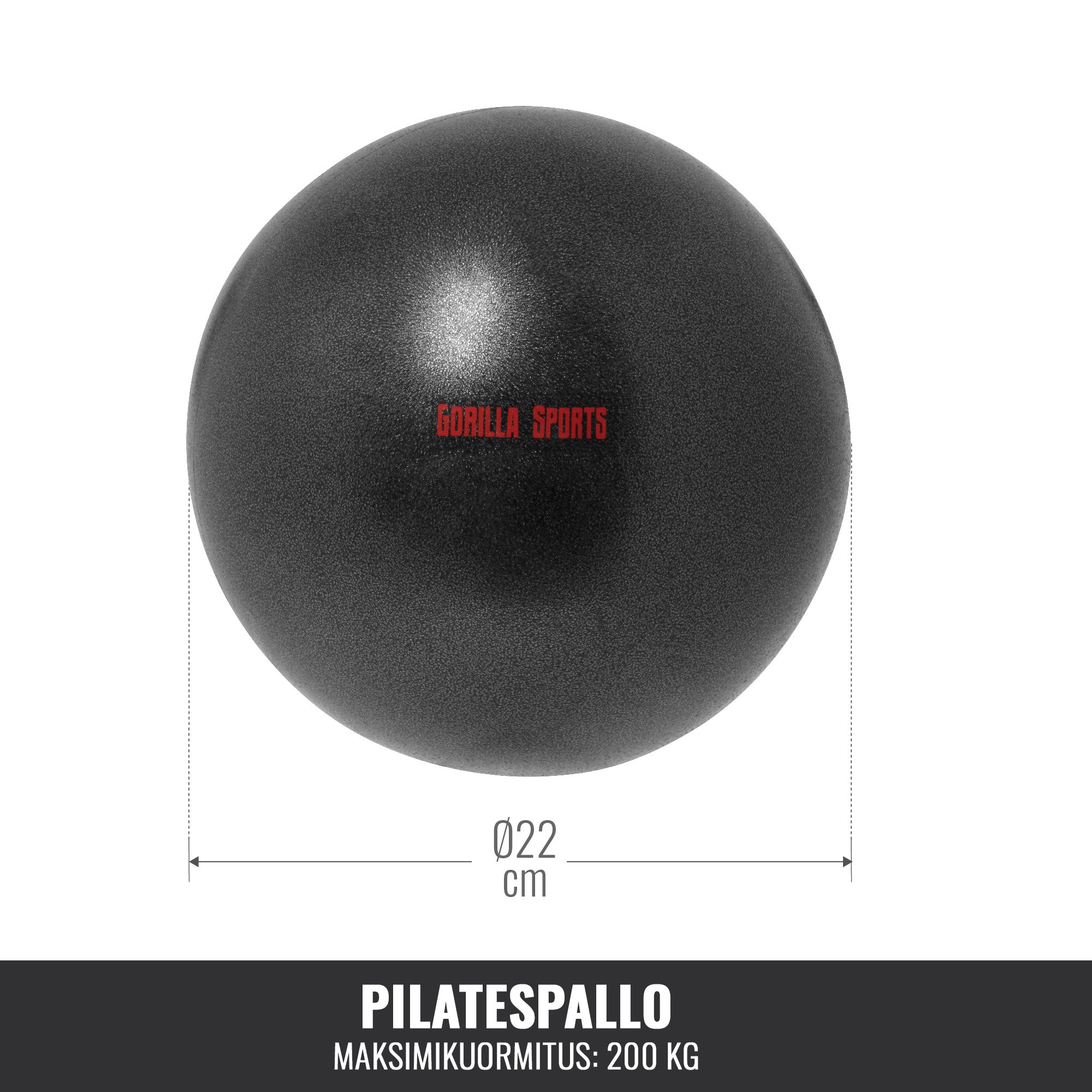 Pilates bumba 22 cm ar pumpi