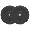 Vinila svaru diski 2 x 15 kg, 30 mm
