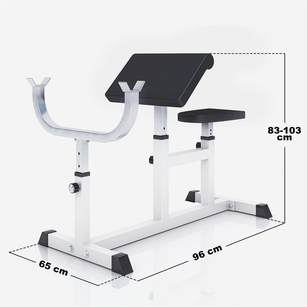 Regulējams Scott sols bicepsa treniņam, balts/melns