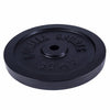 Čuguna svaru disks 30 kg 30 mm