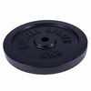 Čuguna svaru disks 5 kg, 30 mm