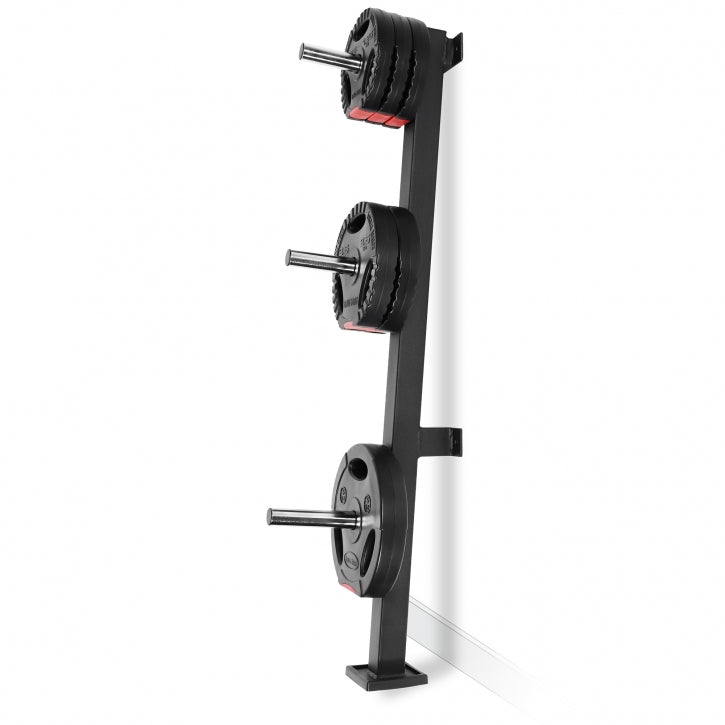 Pie sienas stiprināms svaru disku statīvs 30 mm, 300 kg
