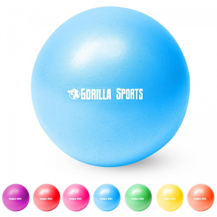Pilates bumba 28 cm ar pumpi